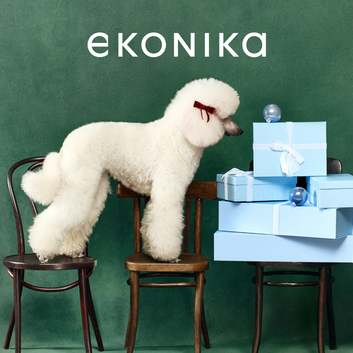 Распродажа EKONIKA